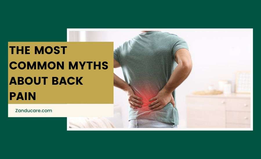 The Most Common Myths About Back Pain