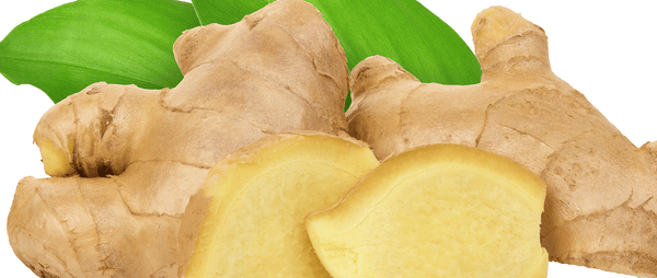 Ginger- A Mighty Herb for all Your Gut Issues