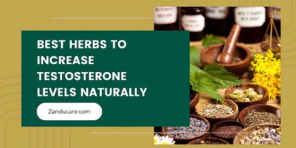 Ayurvedic Herbs to Increase Testosterone