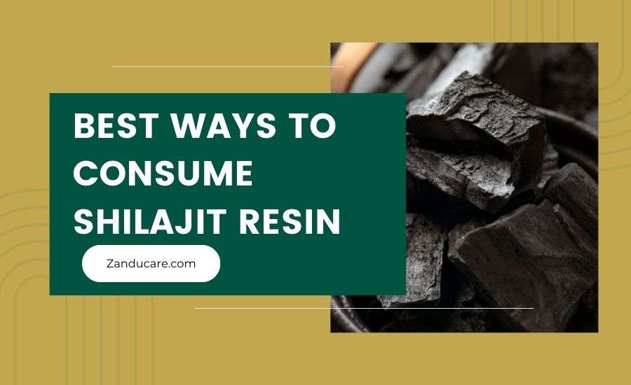 Consume Shilajit Resin
