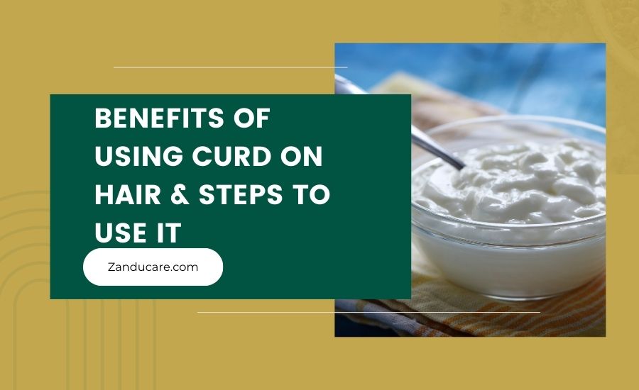 curd benefits