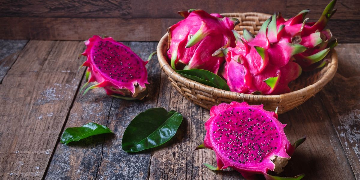 Dragon fruit diabetes