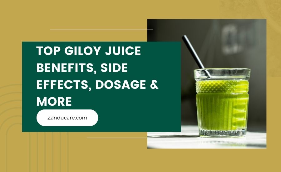 Giloy Juice Benefits