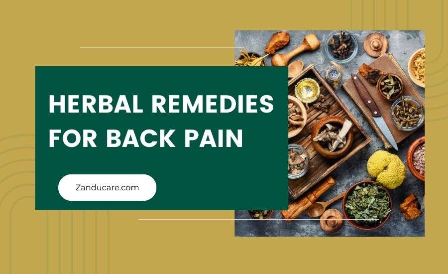 Herbal Remedies for Back Pain