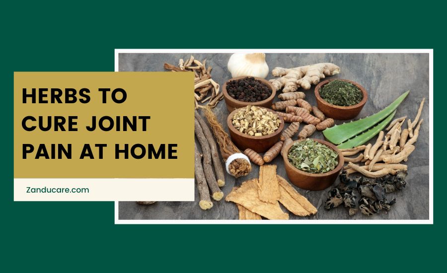 Herbs To Cure Joint Pain 