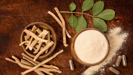 KSM-66 Ashwagandha vs. Normal Ashwagandha: Which One Should You Choose?