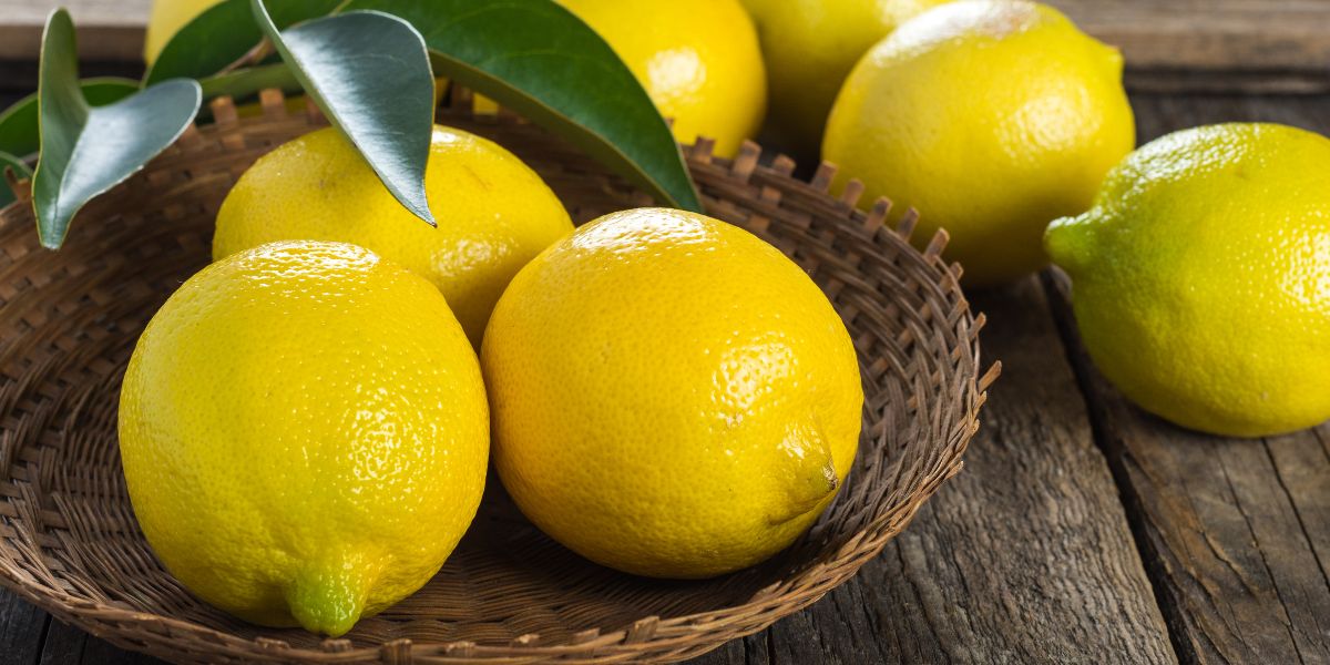 Lemon (नींबू)