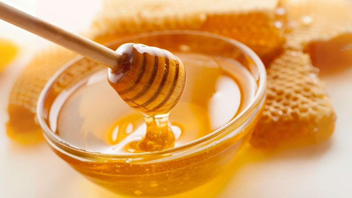 Manuka vs Buckwheat Honey: Which One To Choose?