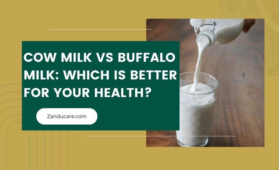 Cow Milk vs Buffalo Milk: Which is Better for Your Health?