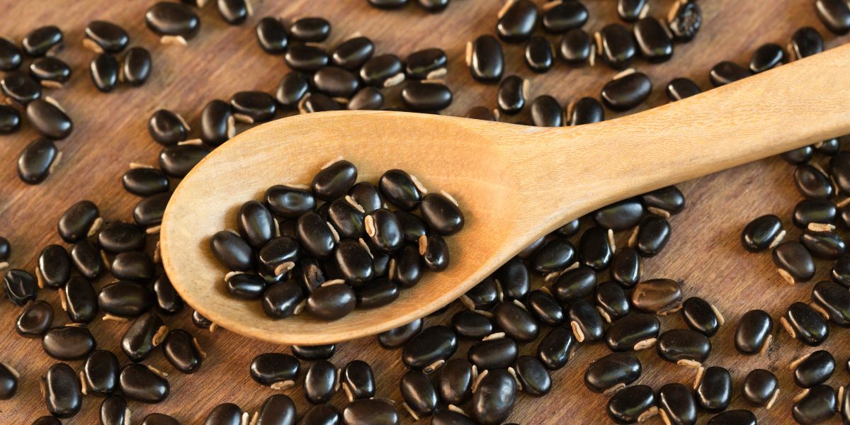 कौंच बीज (Mucuna Pruriens) 