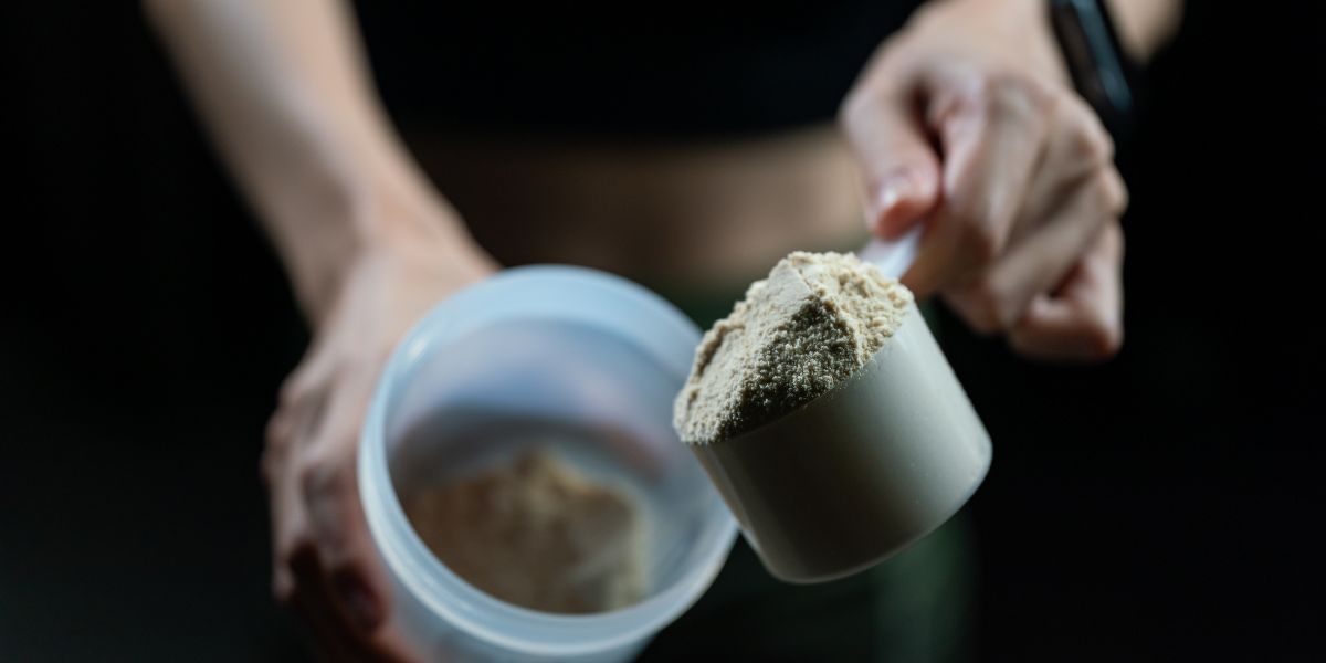 Muscle growth & protein absorption