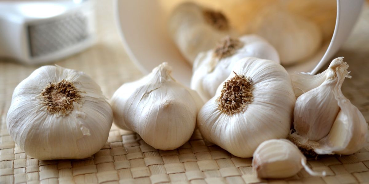 Raw Garlic benefits