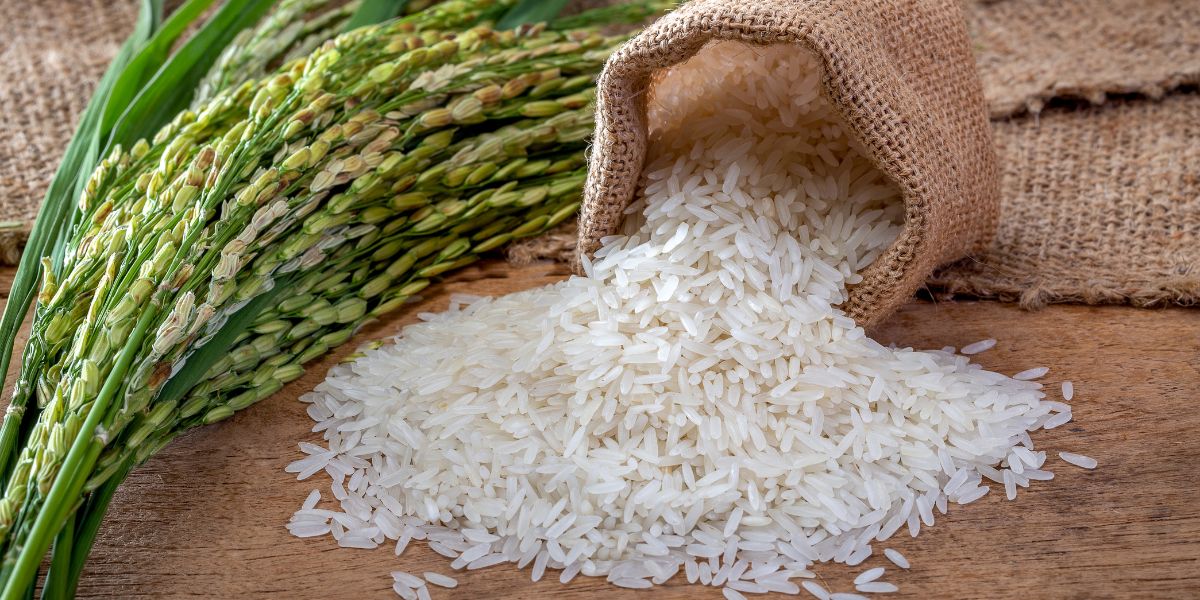 Rice Diabetes