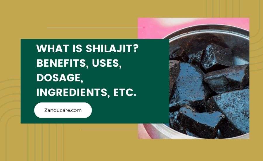 What Is Shilajit? Benefits, Uses, Dosage, Ingredients, Etc.