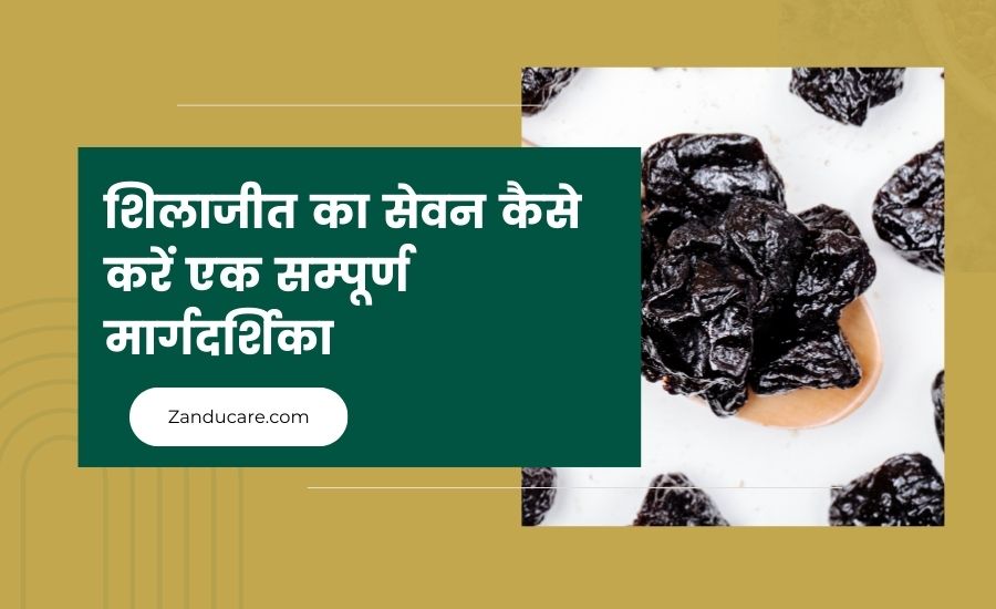 शिलाजीत का सेवन कैसे करें?