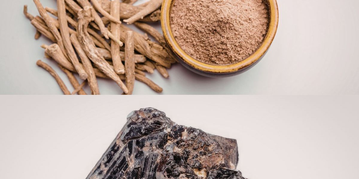 Shilajit Vs Ashwagandha