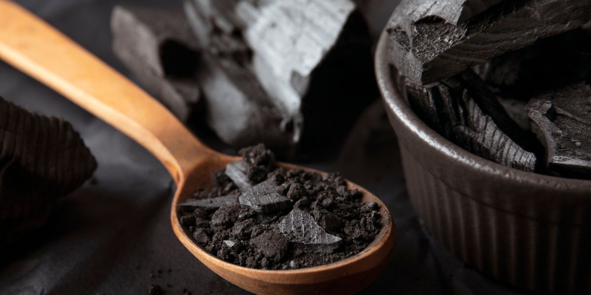 Shilajit Gold vs Shilajit Gold Plus: Ingredients, Benefits, Uses and Safety Compared