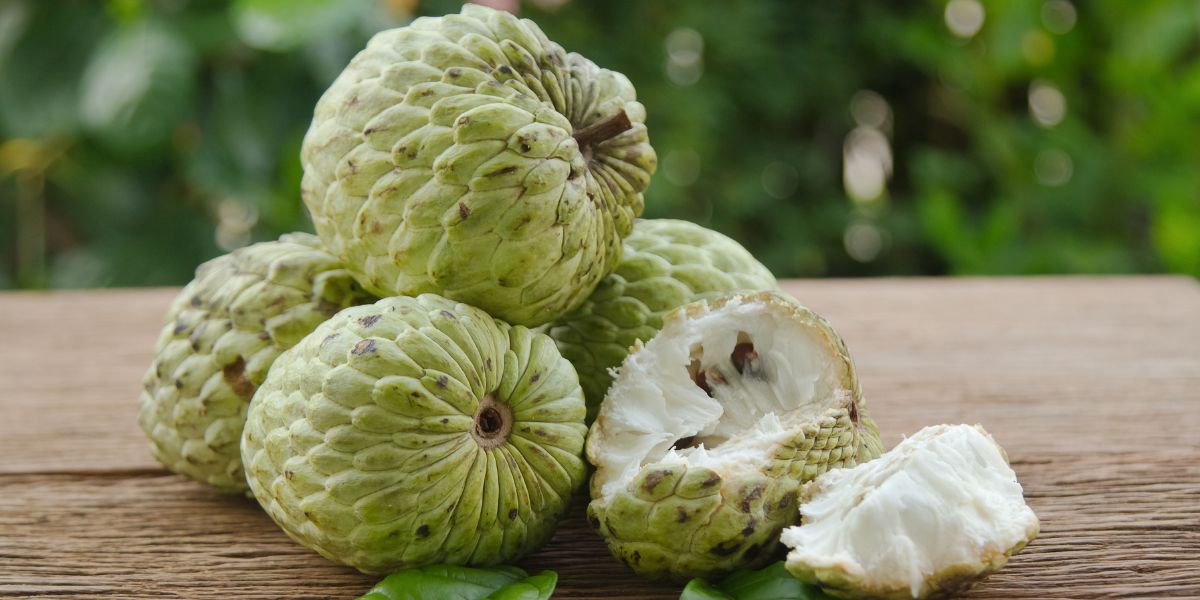 Sitaphal Diabetes