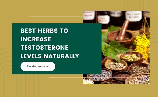 Best Herbs to Increase Testosterone Levels