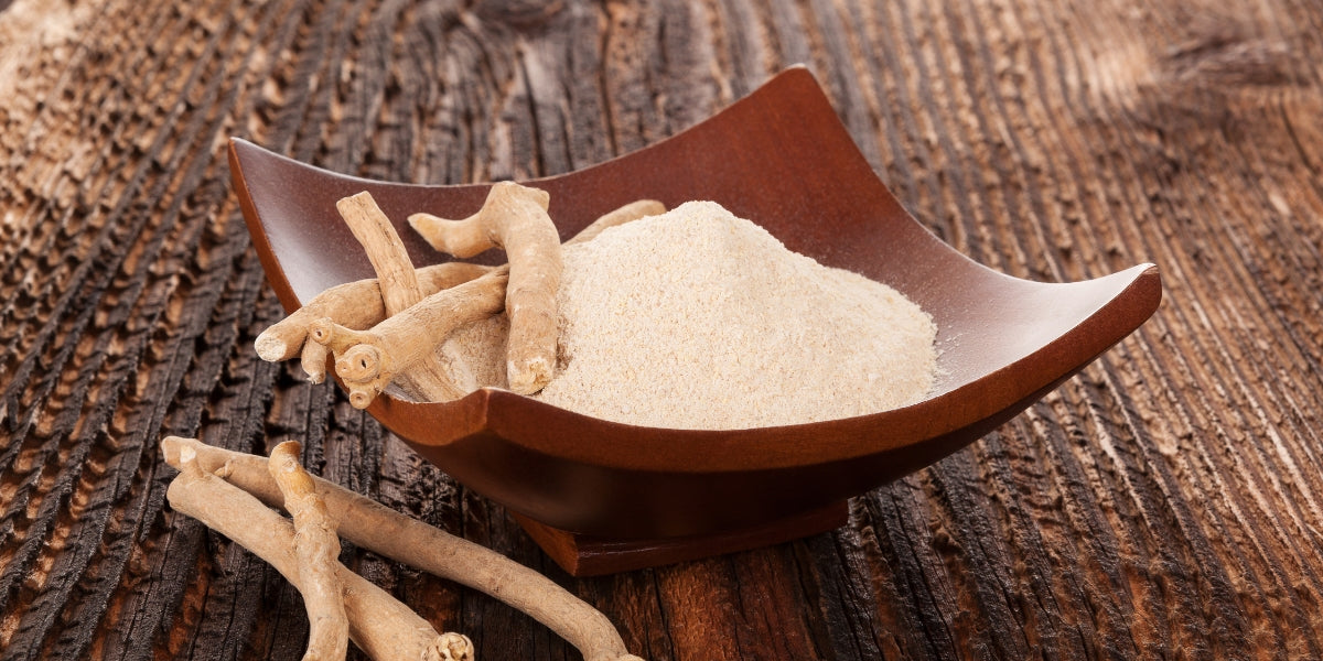 Top 10 Benefits of Using Ashwagandha Daily for Men