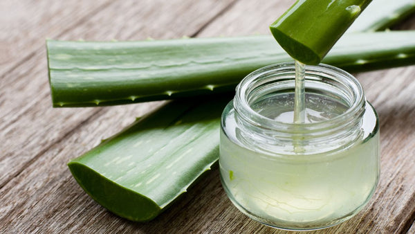 Transform Your Health: How Eating Aloe Vera on an Empty Stomach Boosts Well-being