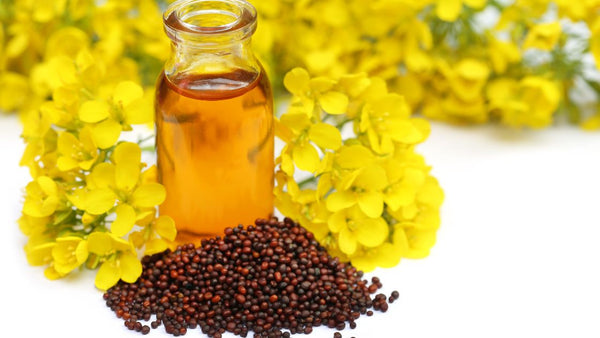 Unlocking the Golden Secret: The Ultimate Guide to Mustard Oil's Uses, Benefits, and Culinary Magic