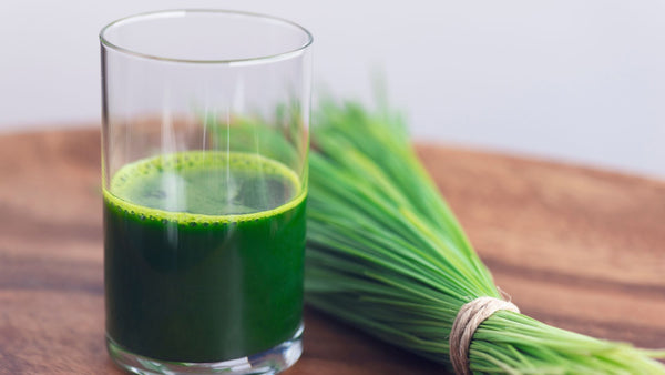 Top 10 Benefits Of Drinking Wheatgrass Juice According to Ayurveda