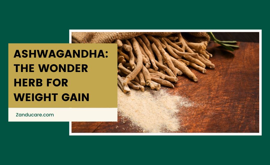 Ashwagandha: The Wonder Herb for Weight Gain