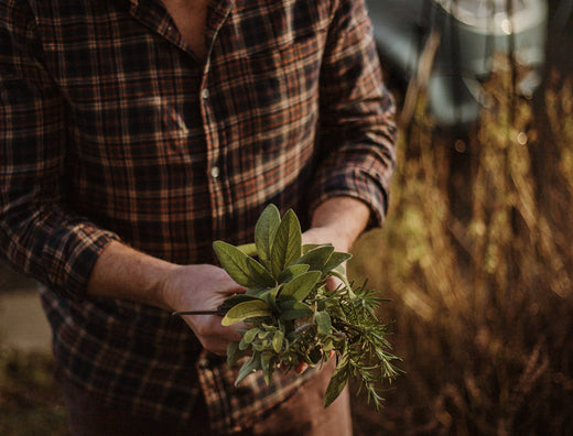 man holding a plant for selection