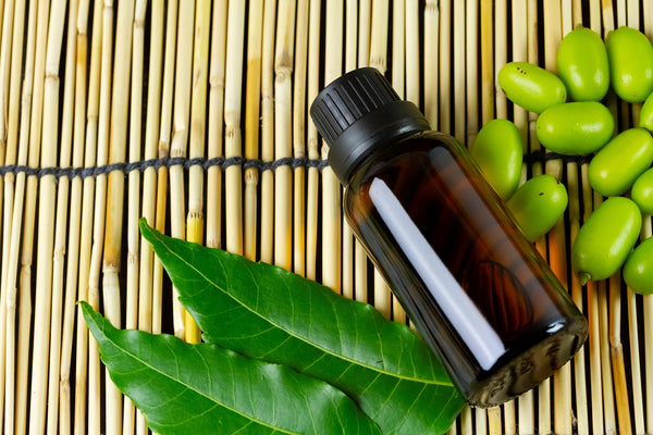 Neem leave with neem oil