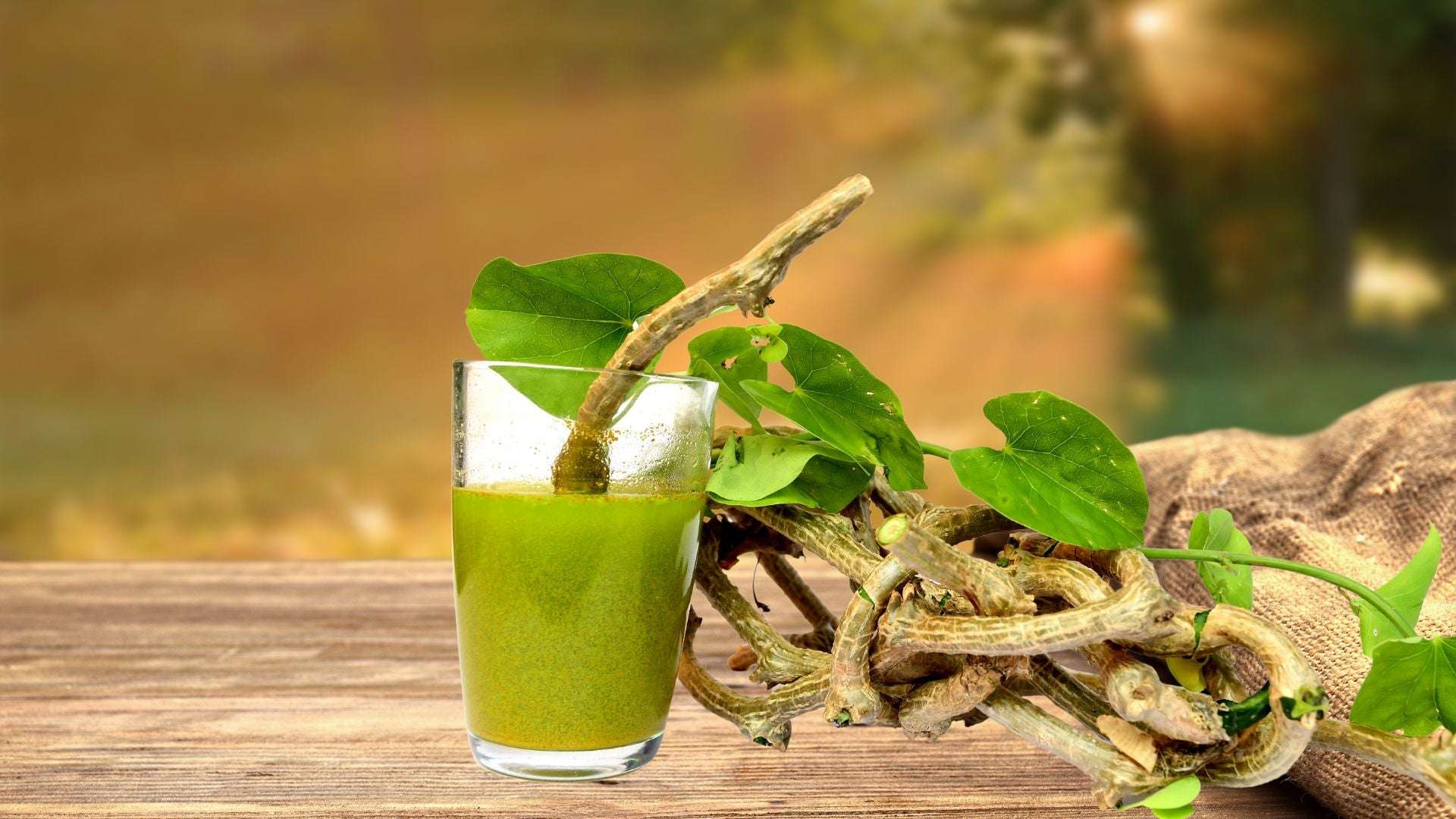Top 13 Giloy Juice Benefits, Side Effects, Dosage & More