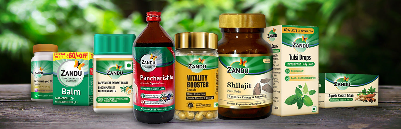 Zandu Products List