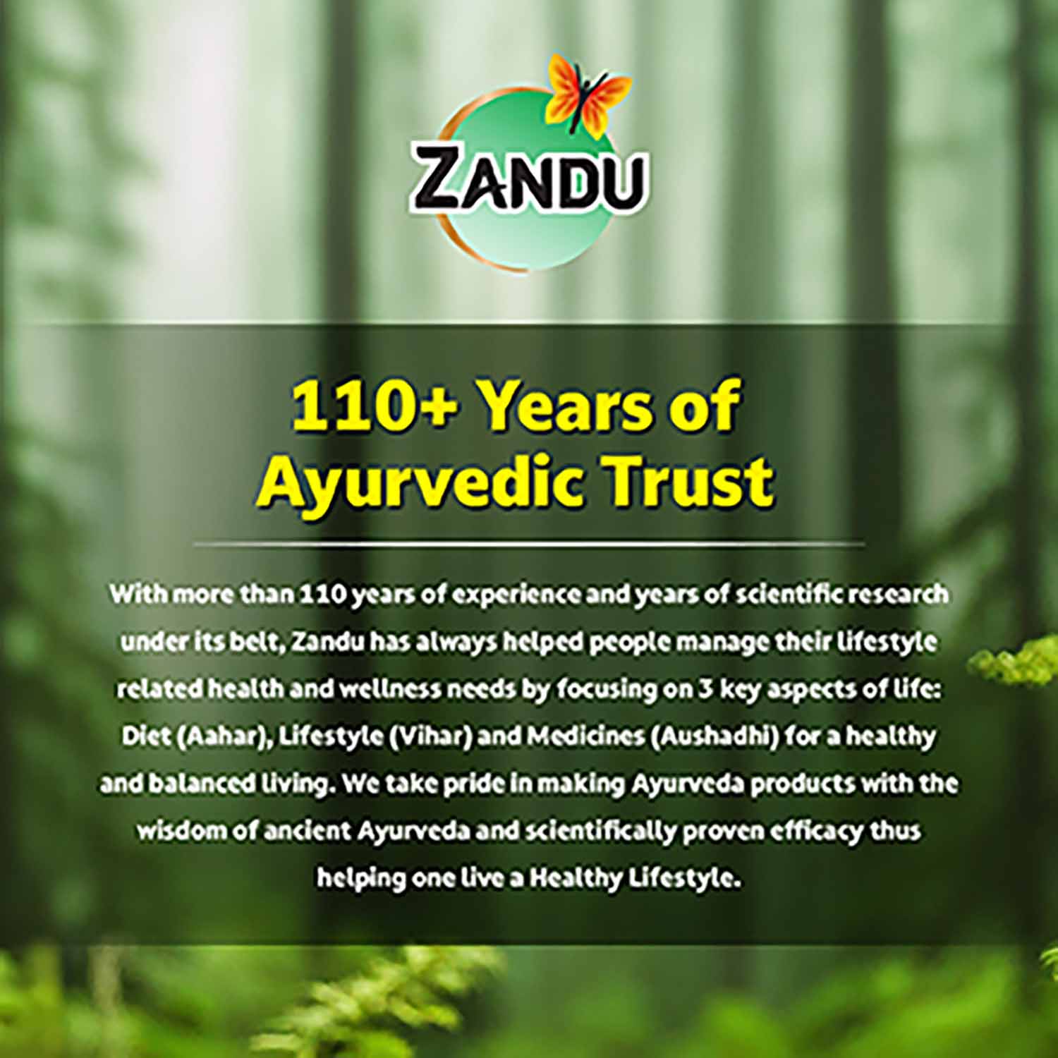 Zandu Chyavanprash Avaleha for Immunity, Strength, Stamina & Vitality