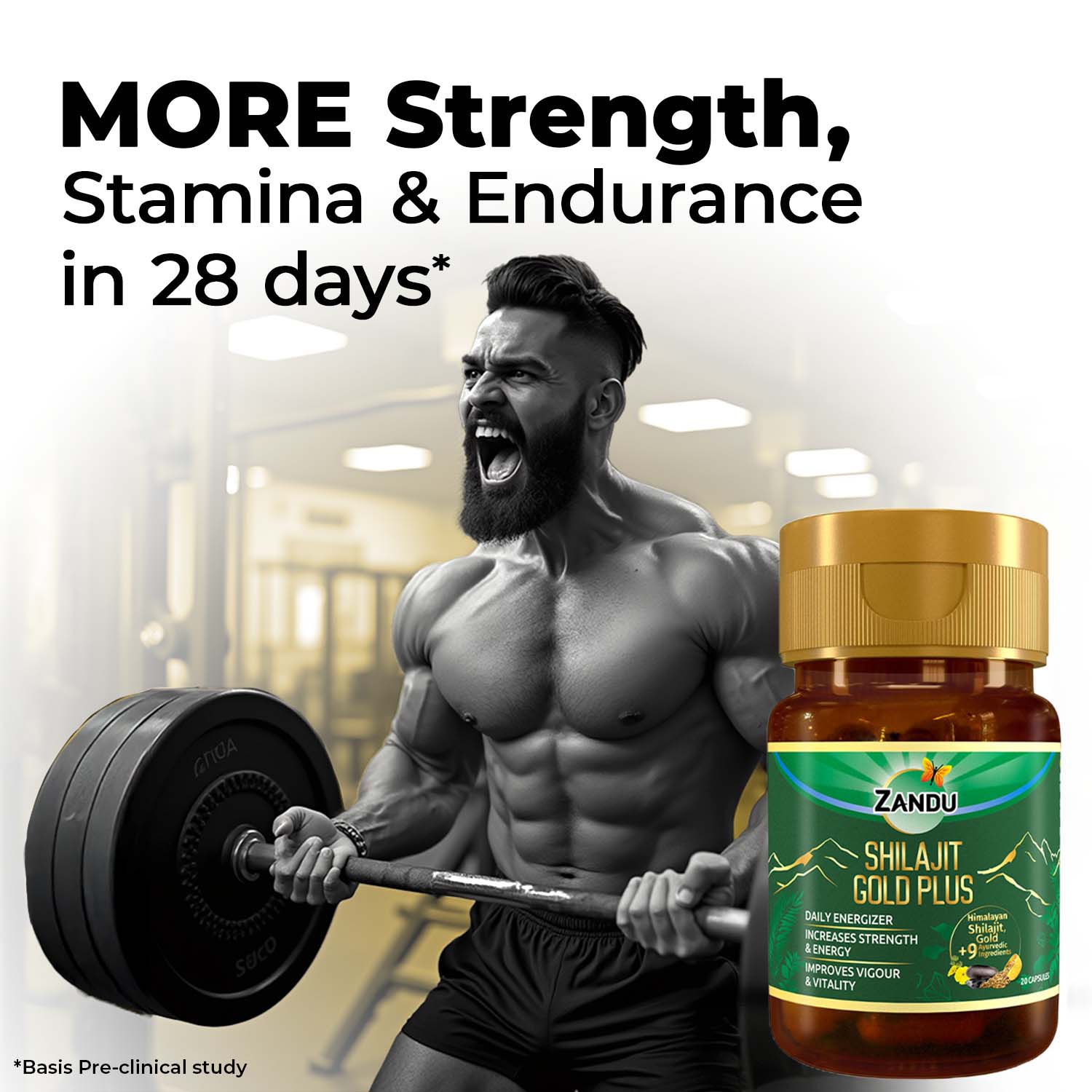 Zandu Shilajit Gold Plus (20 Caps)