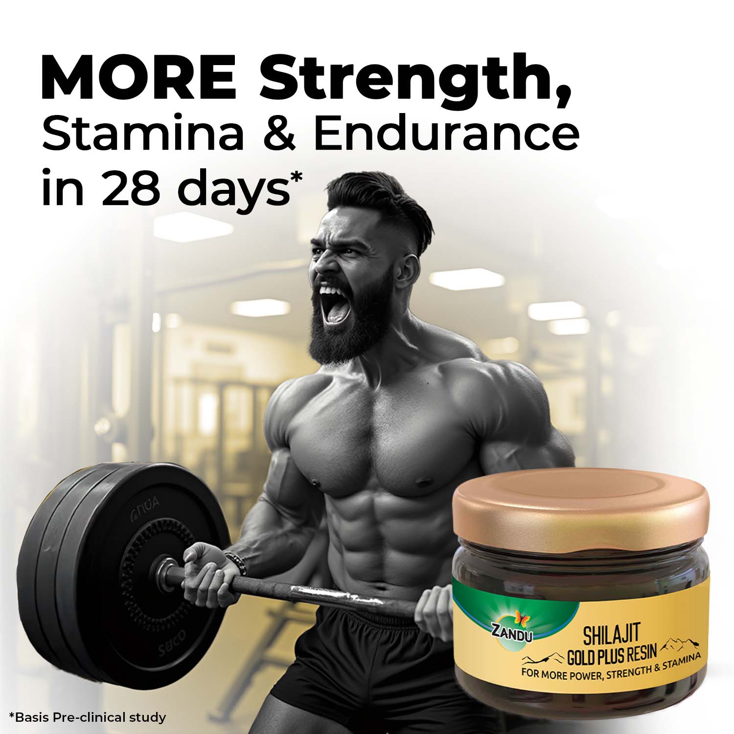 Zandu Shilajit Gold Plus Resin