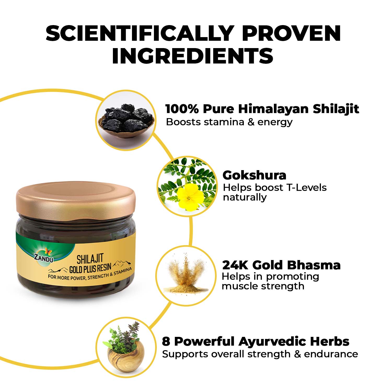 Zandu Shilajit Gold Plus Resin