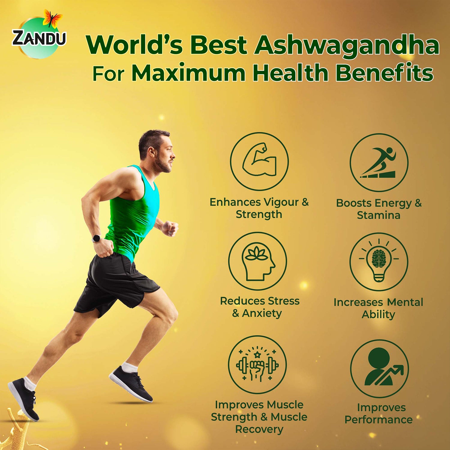 Zandu Ashwagandha 66 (KSM-66®) benefits