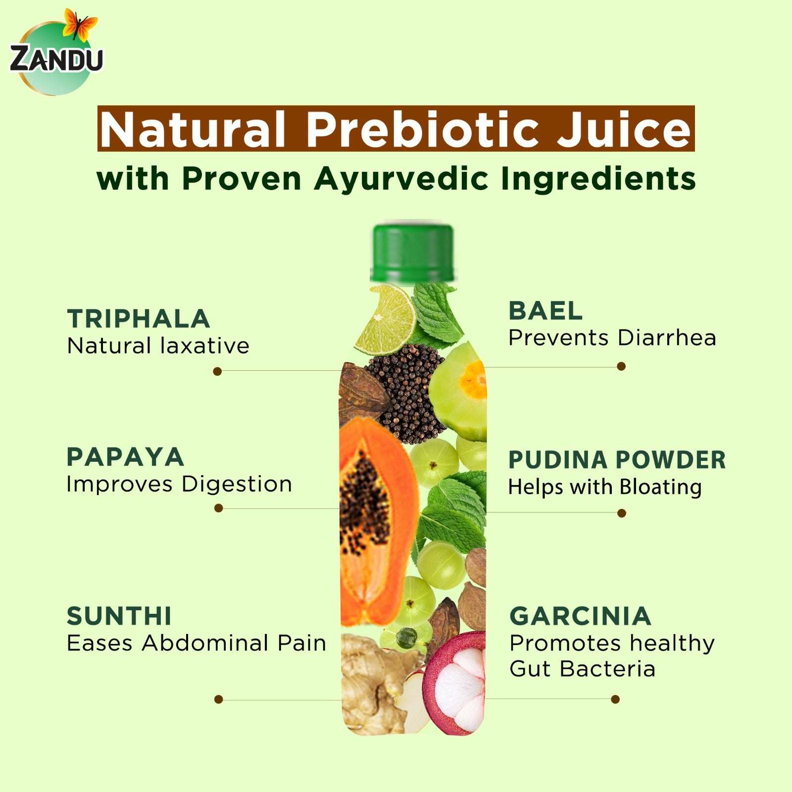 Zandu Digestive juice ingredients