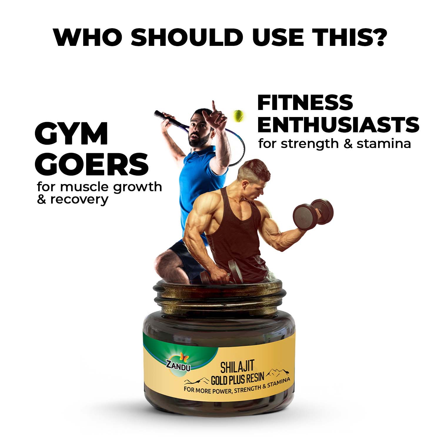 Zandu Shilajit Gold Plus Resin