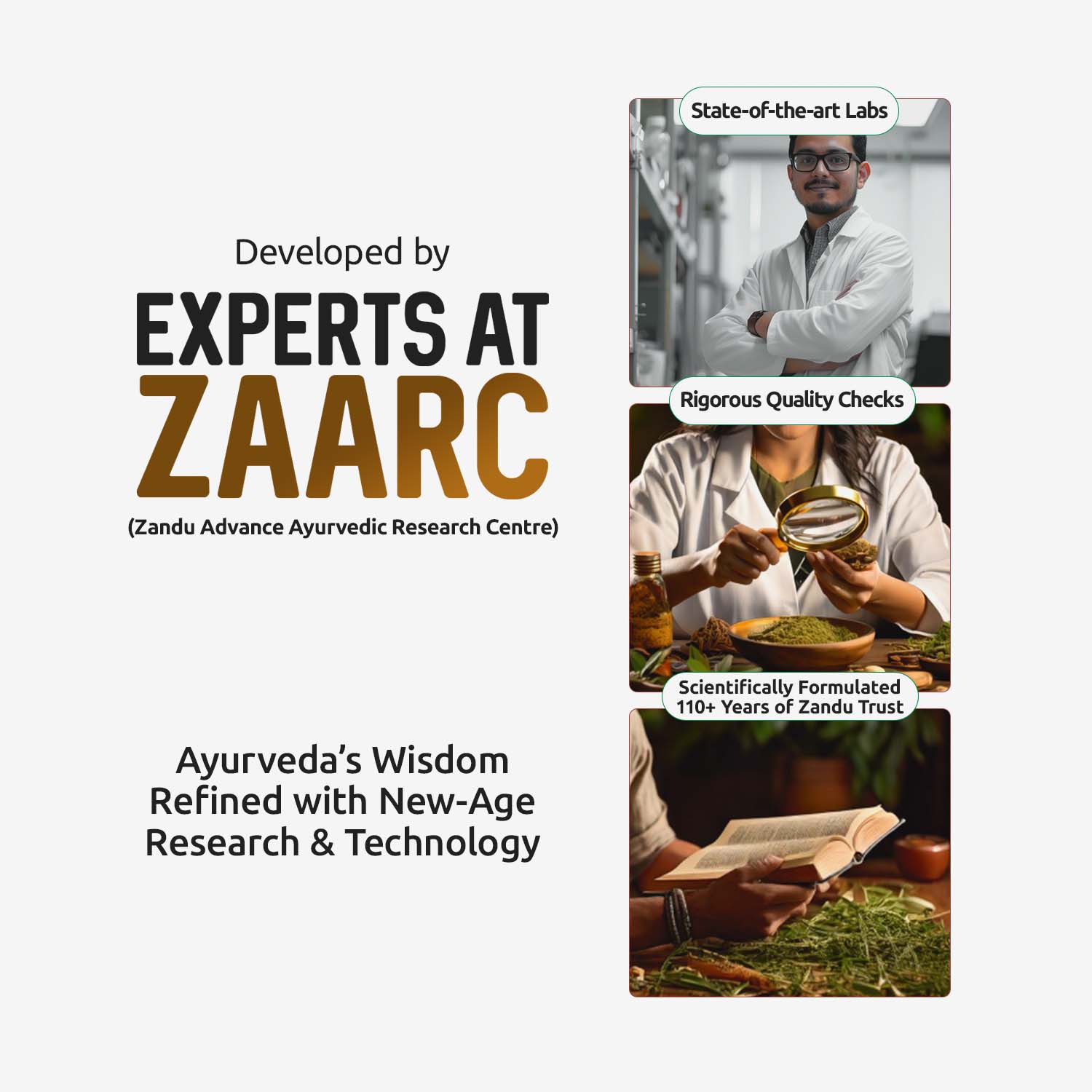 Zandu Shilajitprash for Strength