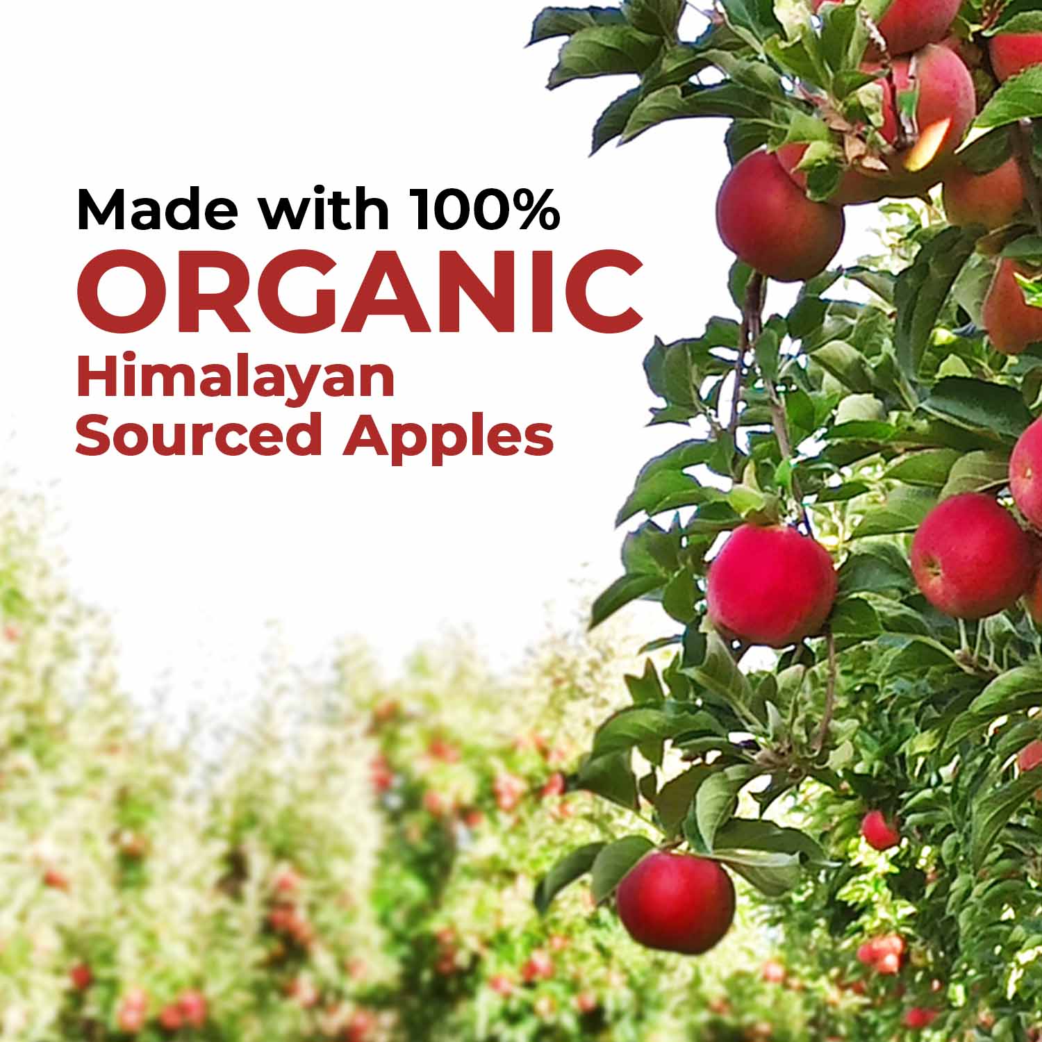 Zandu Organic Apple Cider Vinegar