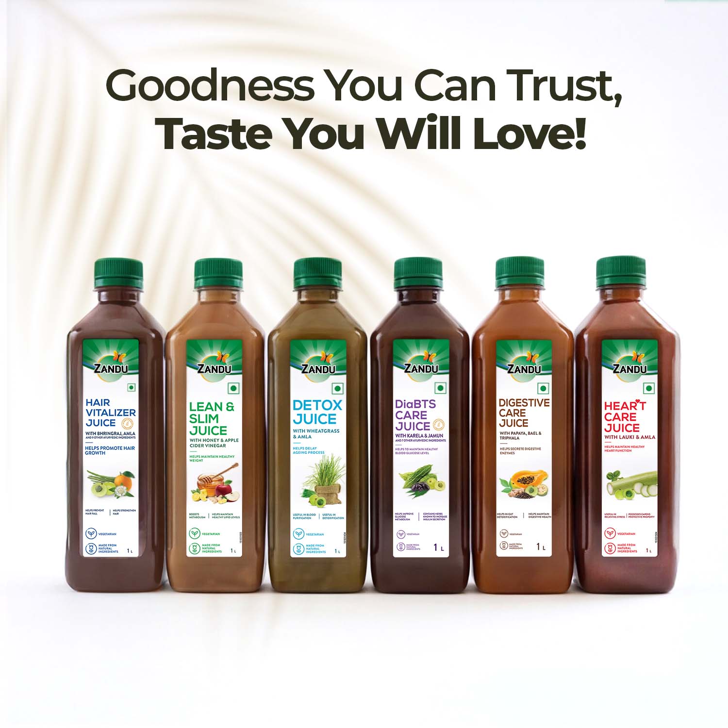 Zandu Full Body Detox Juice (Wheatgrass & Amla)