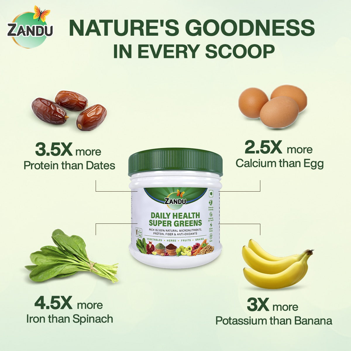 Zandu Daily Health Super Greens Powder nutrients