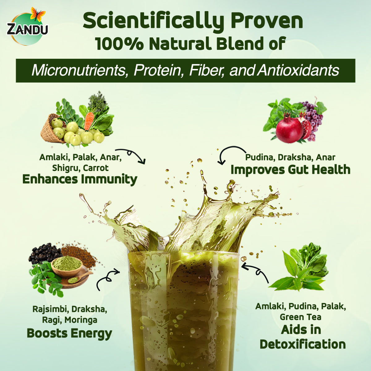 Zandu Daily Health Super Greens Powder ingredients