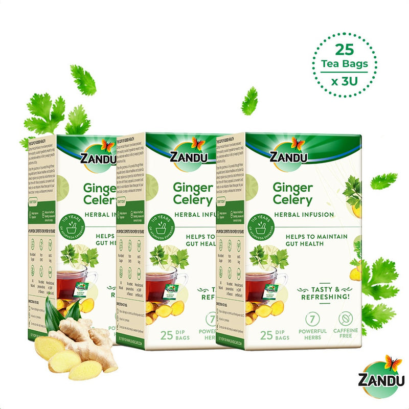 Ginger Celery Herbal Infusion (25 Tea Bags)(Pack of 3)