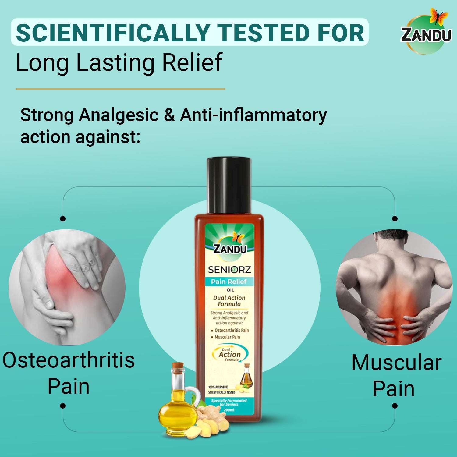 Seniorz Pain Relief Oil for Senior Citizens - Cures Muscle, Joint & Knee Pain (200ml)