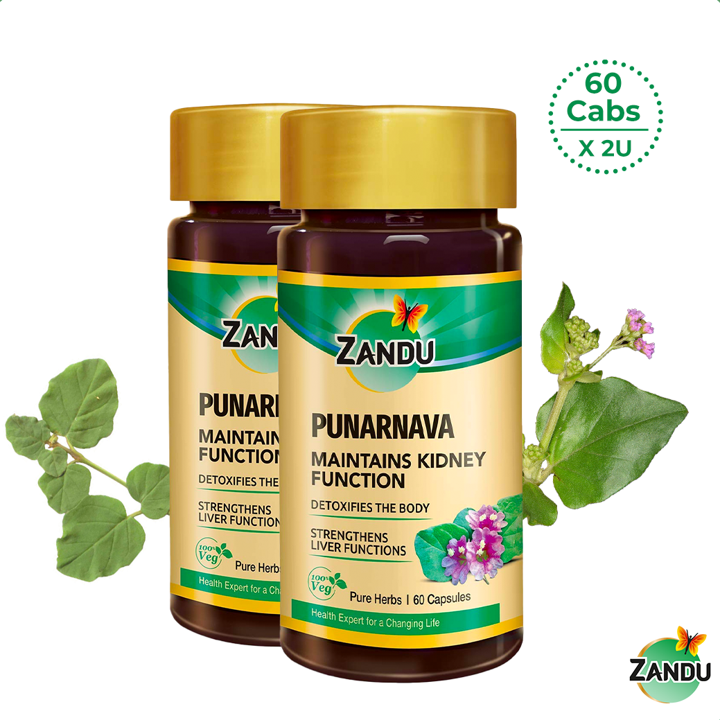 Pure Punarnava Capsules for Liver & Kidney Detoxification