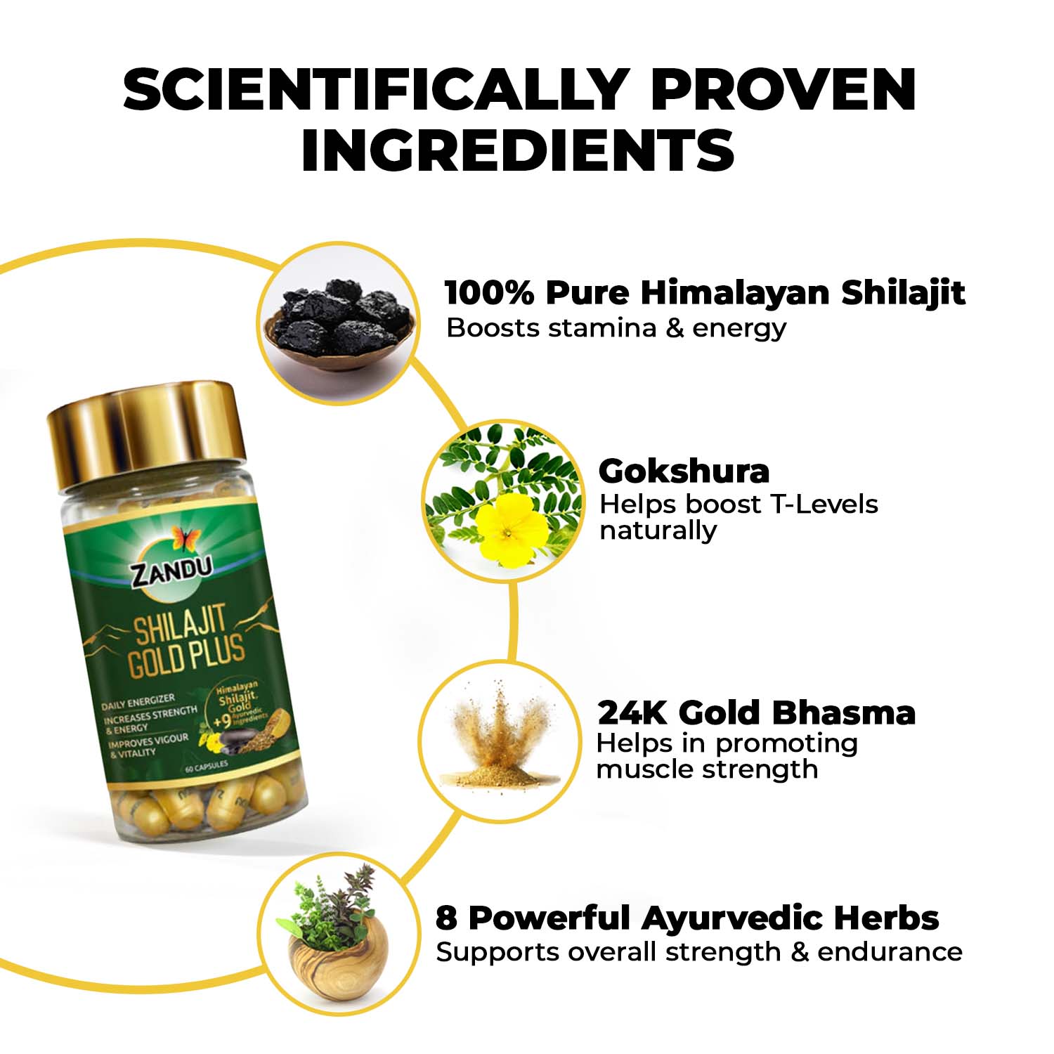 Shilajit_Gold_Plus_Caps_INGREDIENTS
