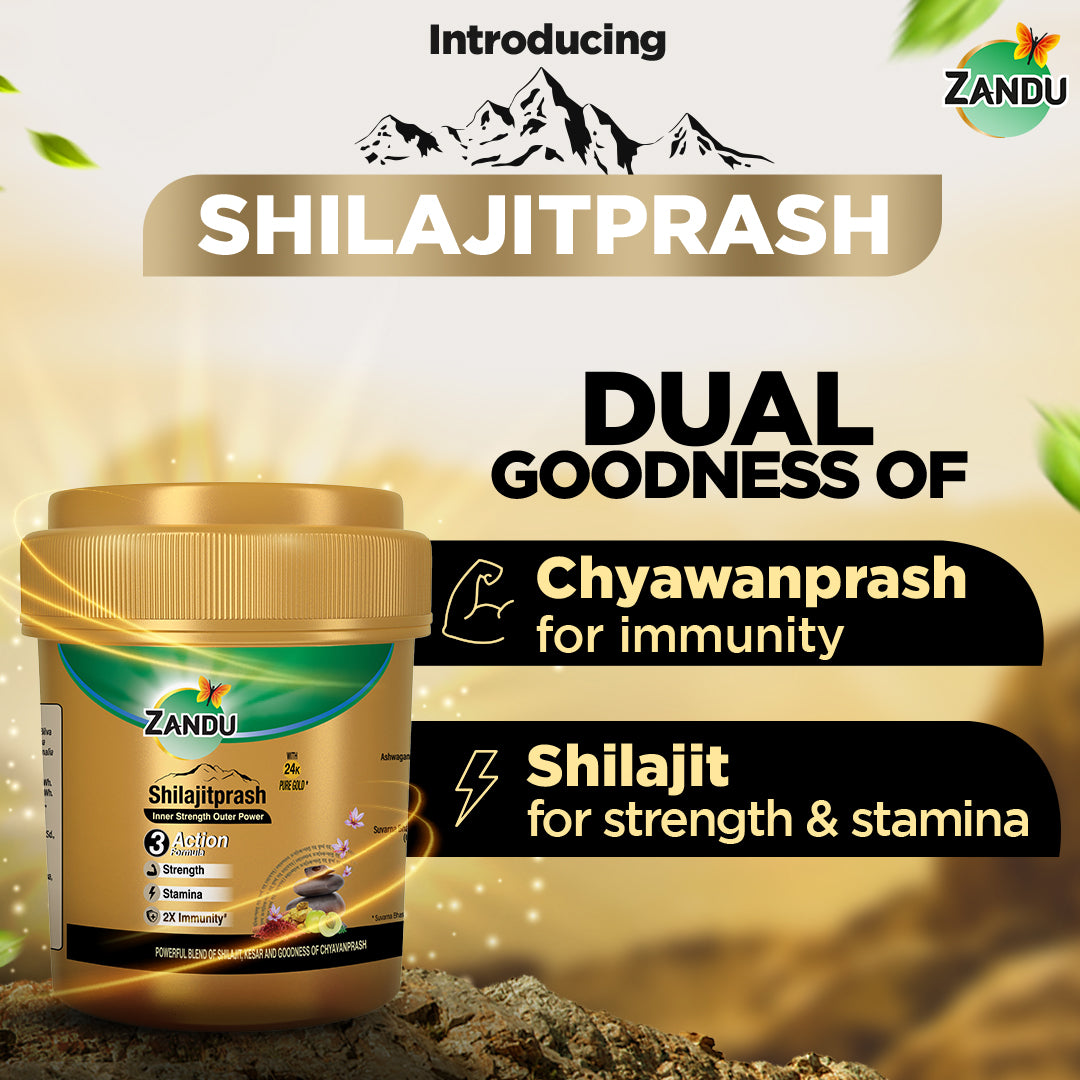 Zandu Shilajitprash for Vigour, Vitality & Immunity 100g