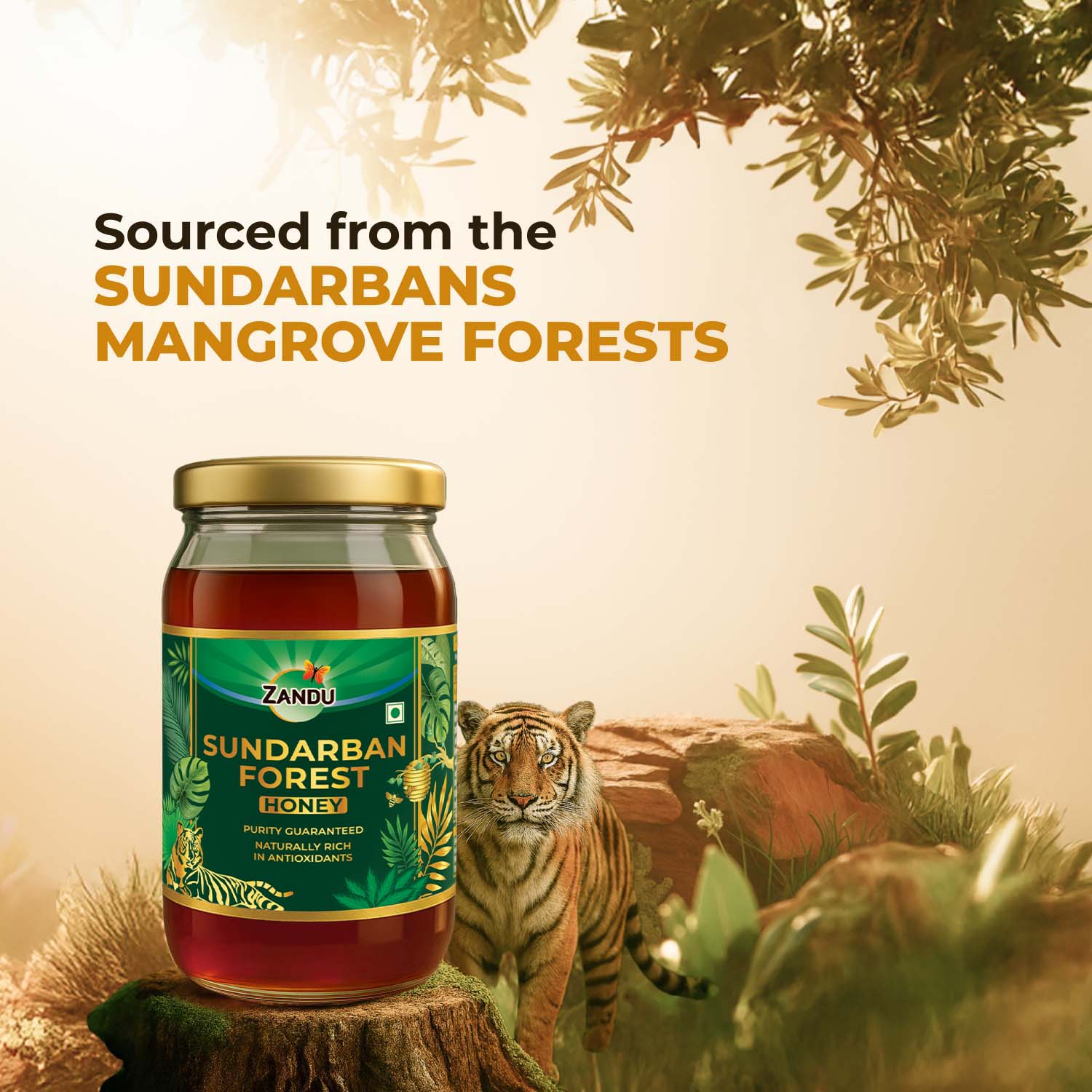 Zandu Sundarban Forest Honey